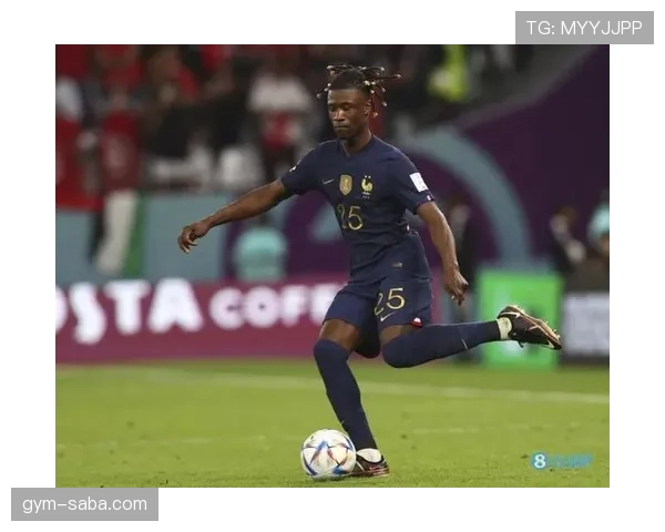 卡马文加的体系适配性：中场角色定位与个人能力如何协同？