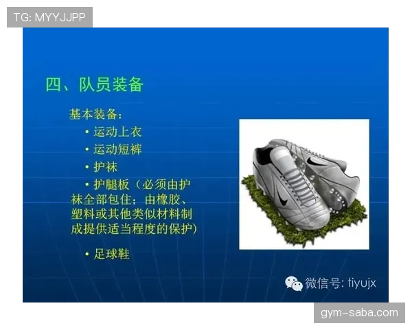 足球判罚标准详解：关键判定条件与裁判执行原则解析